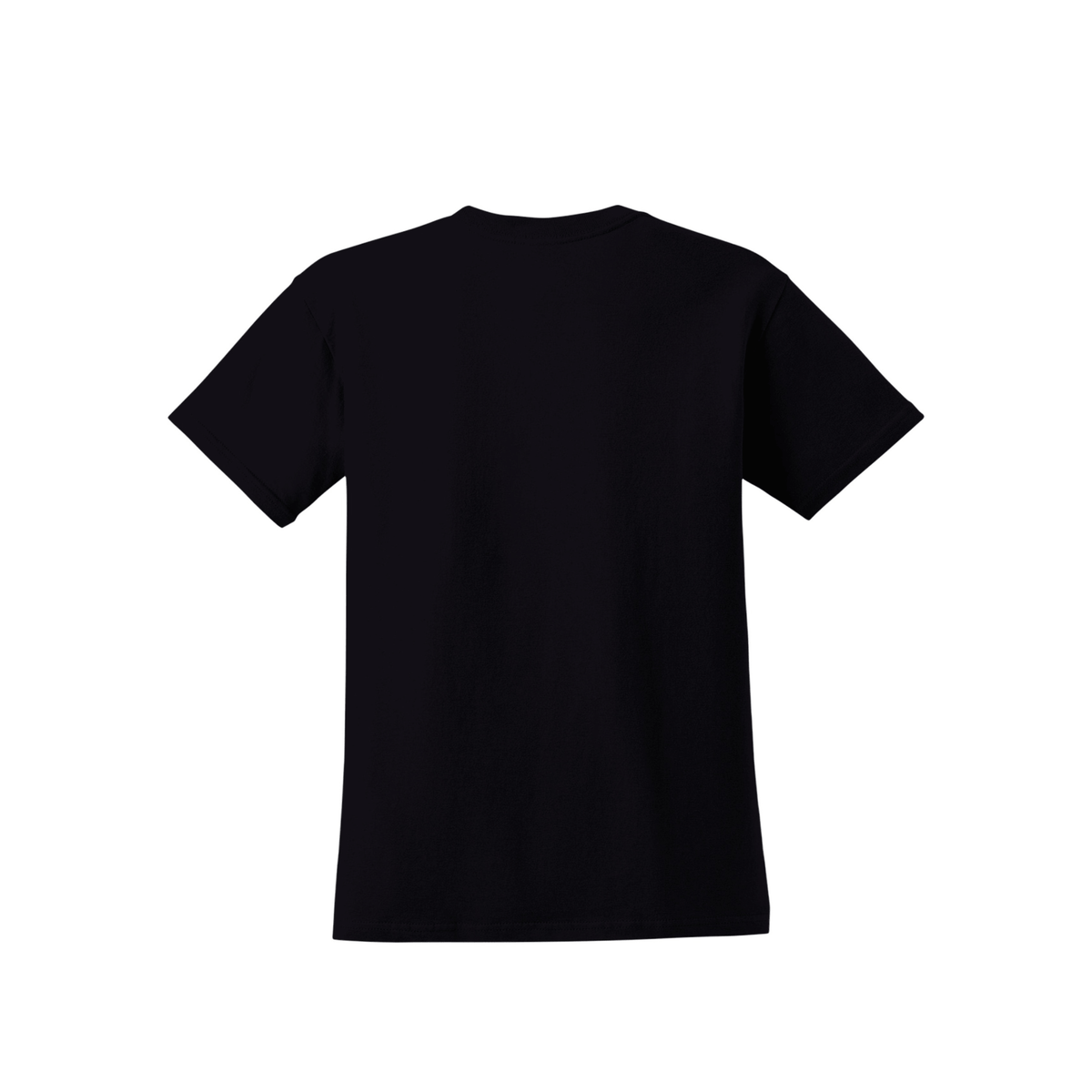 VFL V.1 Women's Premium Cotton Tee