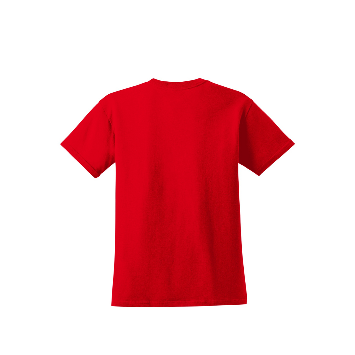 VFL V.1 Women's Premium Cotton Tee