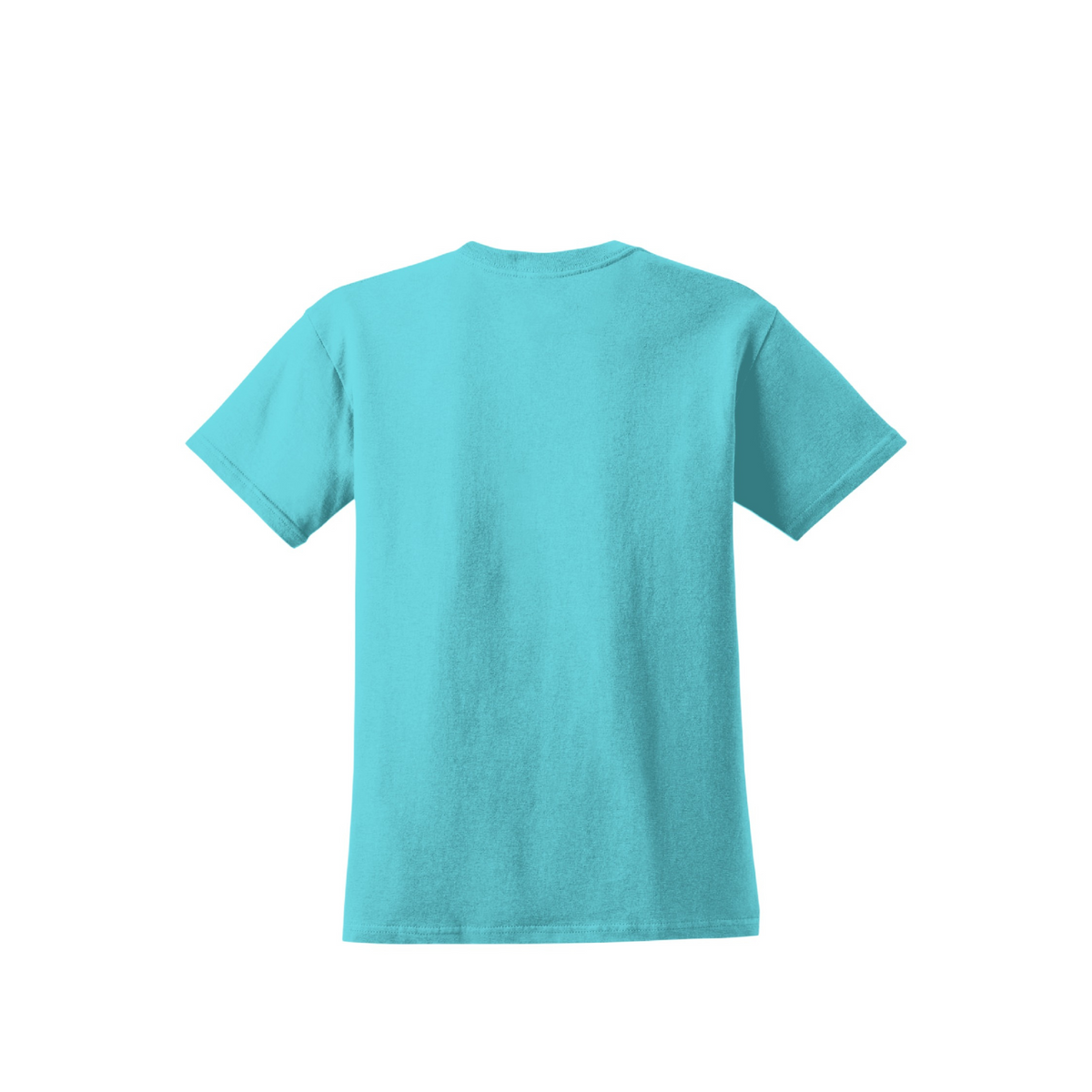 VFL V.1 Women's Premium Cotton Tee